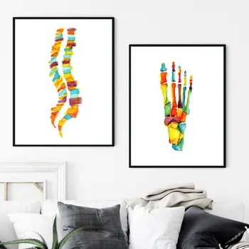 Акварельный плакат с костями стопы, Анатомия человека, колонна позвоночника, Плакат и печать на холсте, HD Настенное искусство для домашнего декора комнаты